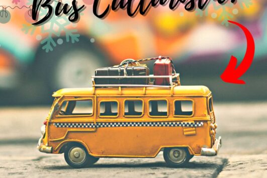 RUTA DE NADAL AMB BUS CULTURISTIC + COPA DE CAVA A LA TERRASSA DEL VIDA MONA BCN!