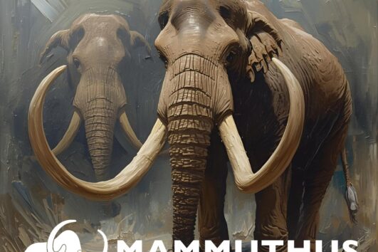 ESPAI MAMMUTHUS - UN VIATGE D'UN MILIÓ D'ANYS