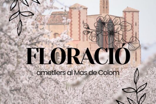 ELS AMETLLERS: LA PRIMERA FLORACIÓ – "HANAMAMI" AL MAS DE COLOM + MENÚ BACANAL!